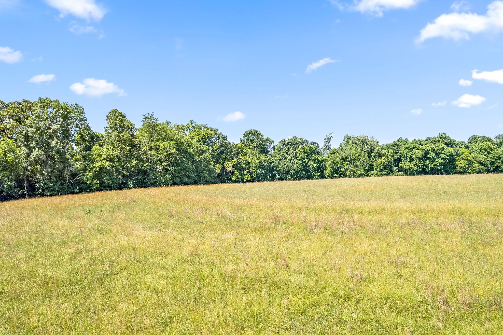 4650 Weakley Road Southside, TN 37171 - Photo 21 of 63
