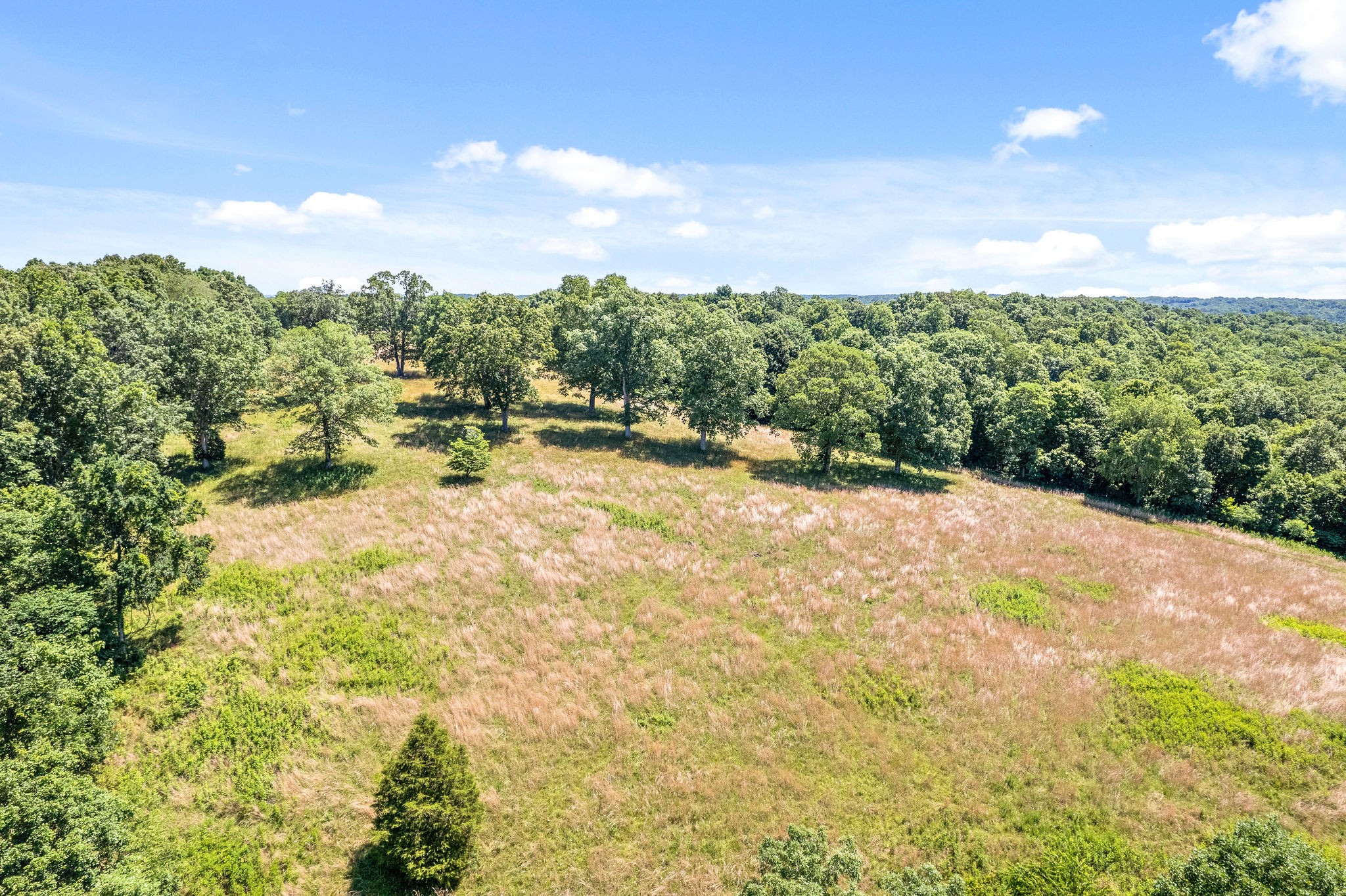 4650 Weakley Road Southside, TN 37171 - Photo 27 of 63