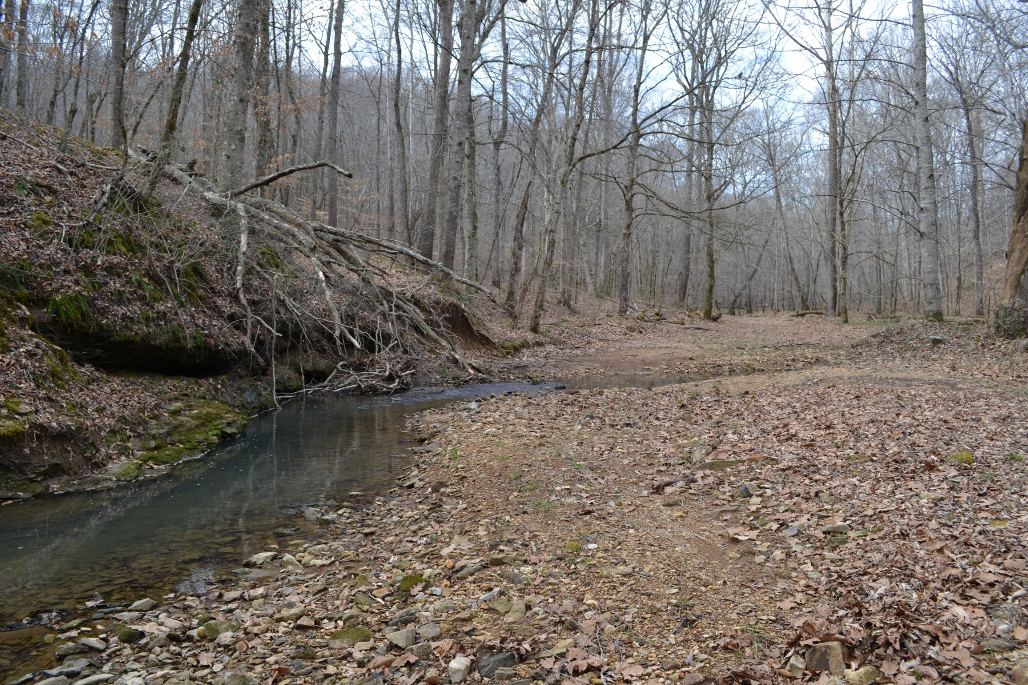 4650 Weakley Road Southside, TN 37171 - Photo 57 of 63