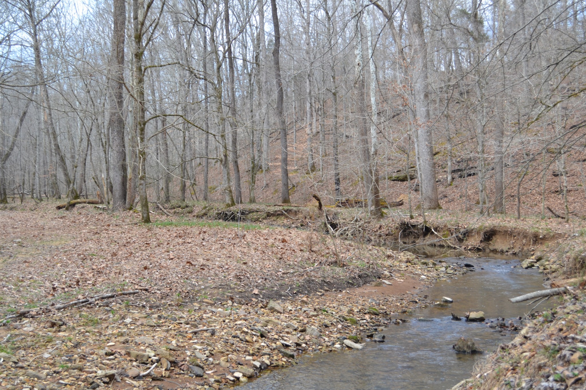 4650 Weakley Road Southside, TN 37171 - Photo 63 of 63