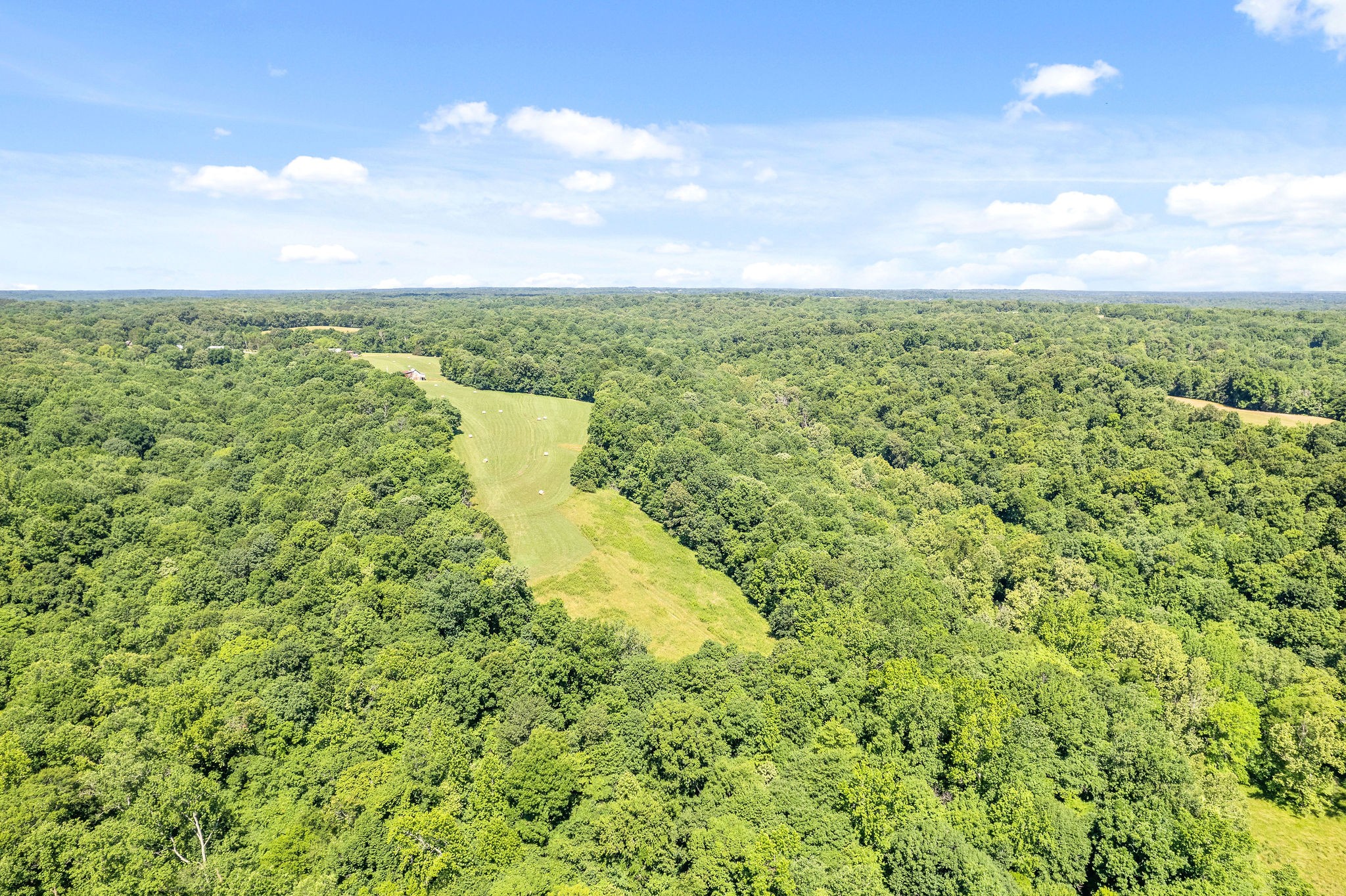 4650 Weakley Road Southside, TN 37171 - Photo 10 of 63