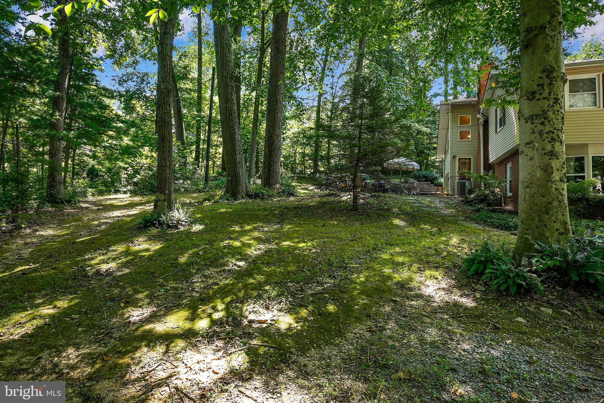 2120 Norbeck Road Silver Spring, MD 20906 - Photo 66 of 83 Gallery Image 66
