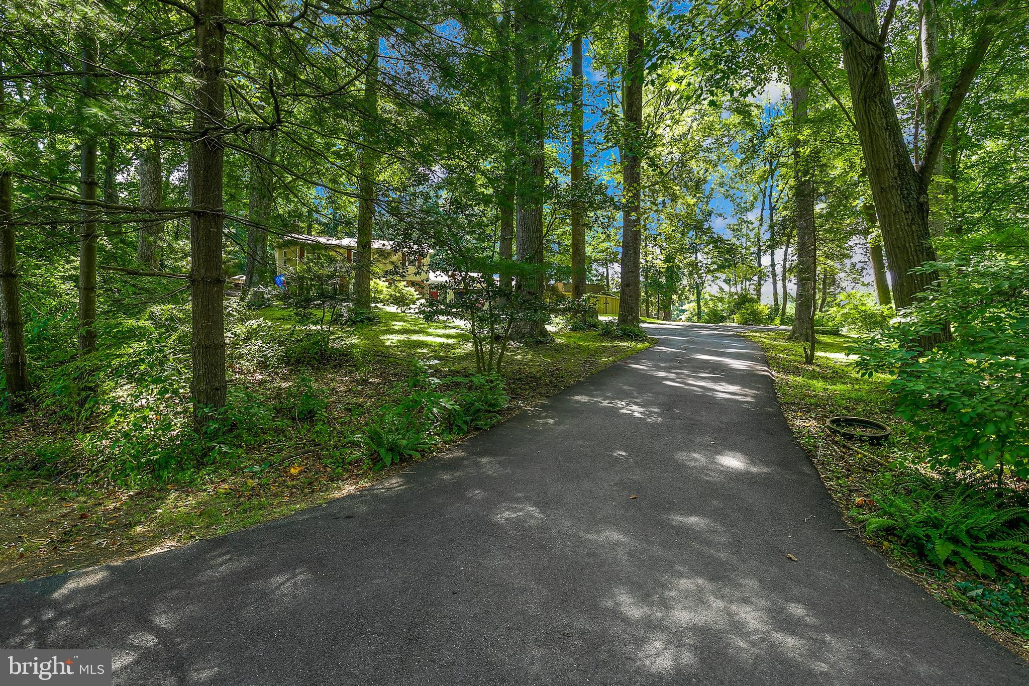 2120 Norbeck Road Silver Spring, MD 20906 - Photo 74 of 83 Gallery Image 74
