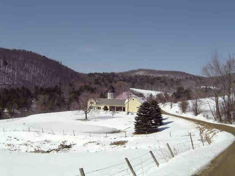 1997 Skiparee Road Pownal, VT 05260 - Photo 6 of 6 a view of a terrace with a bench