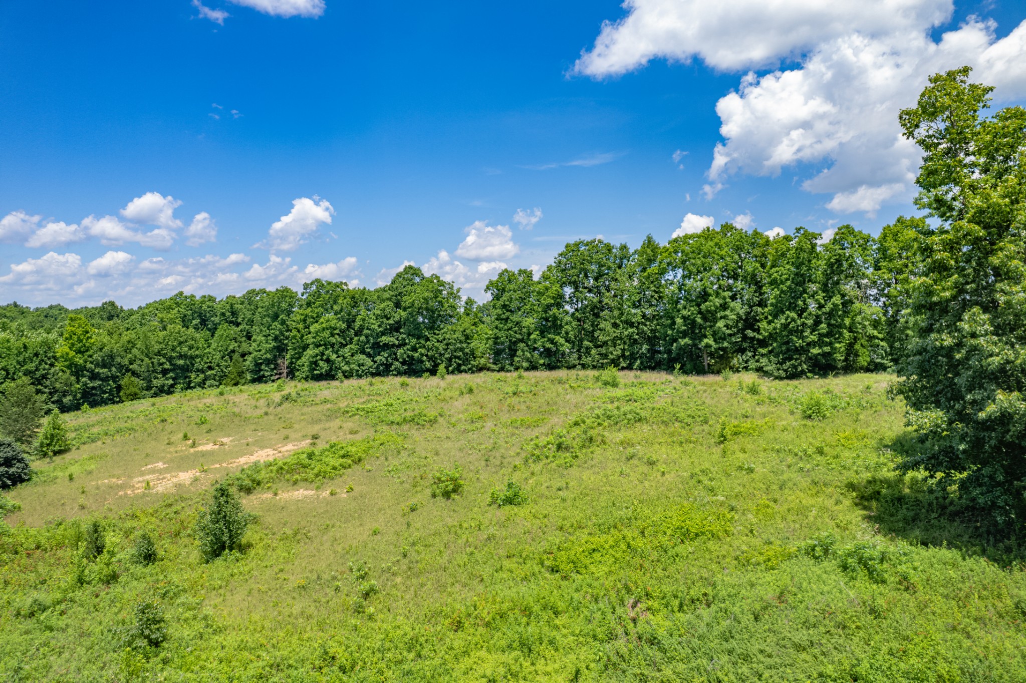 0 Mobley Ridge Road Duck River, TN 38454 - Photo 29 of 35
