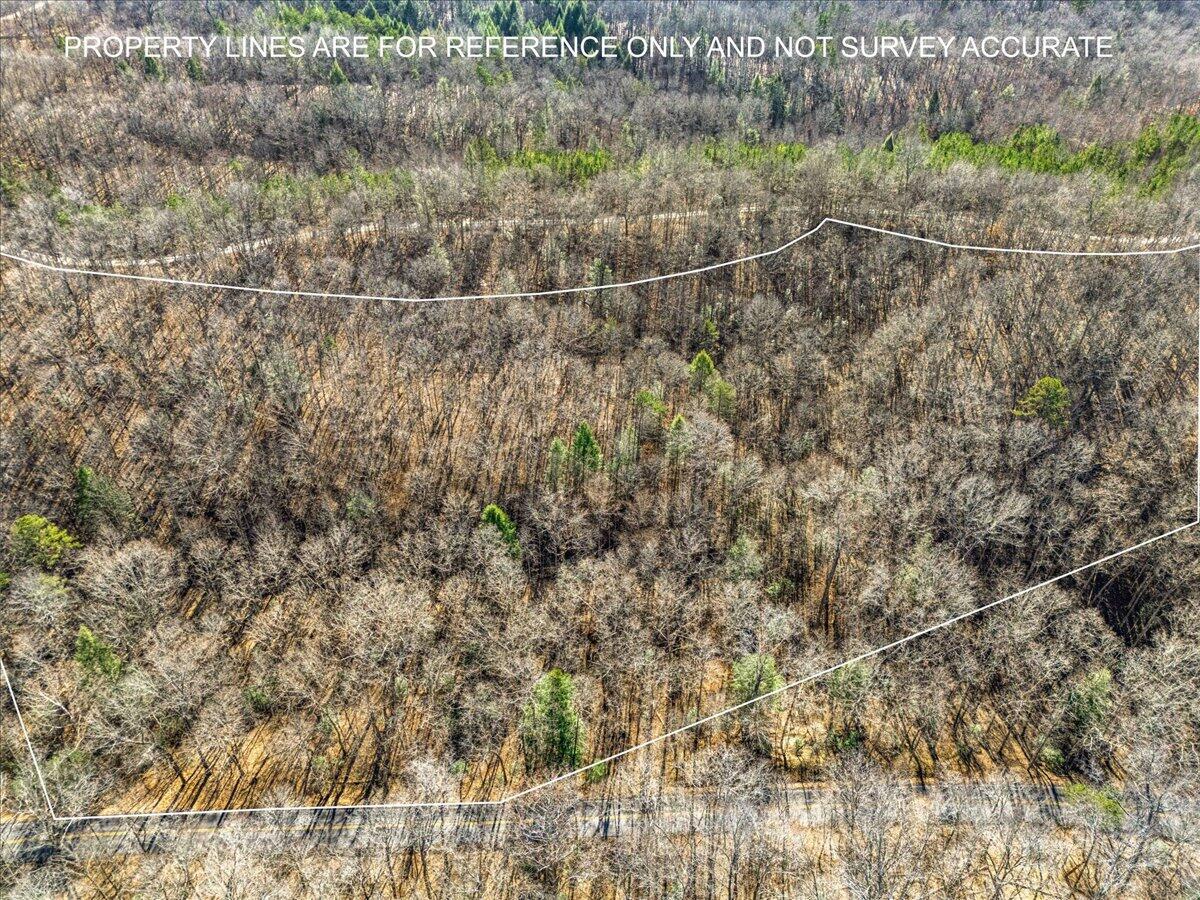 1111 Bee Creek Road Corbin, KY 40701 - Photo 17 of 38 05-Property Aerial