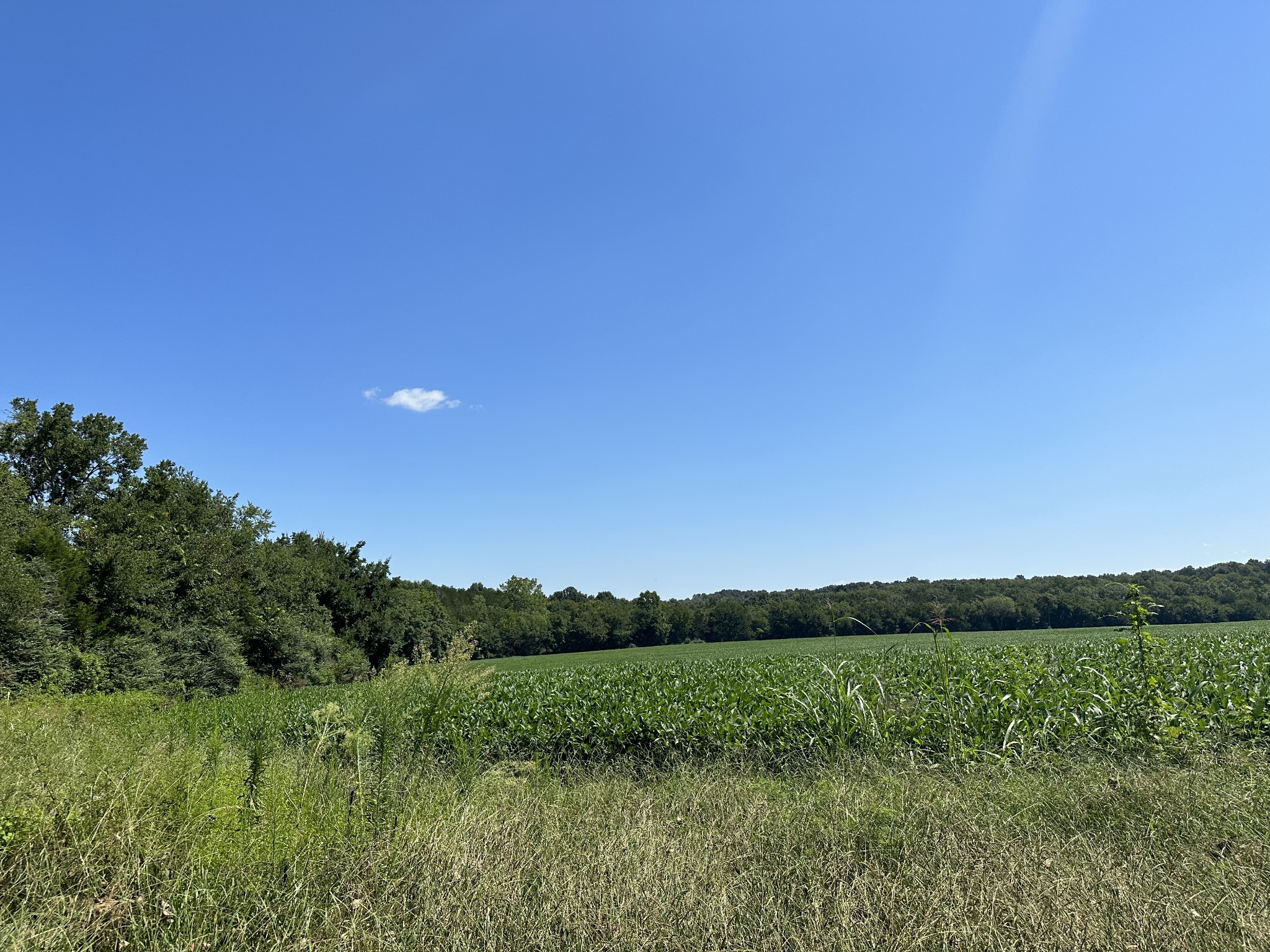 10026 Mona Road Murfreesboro, TN 37129 - Photo 15 of 64 a view of a grassy field and mountains