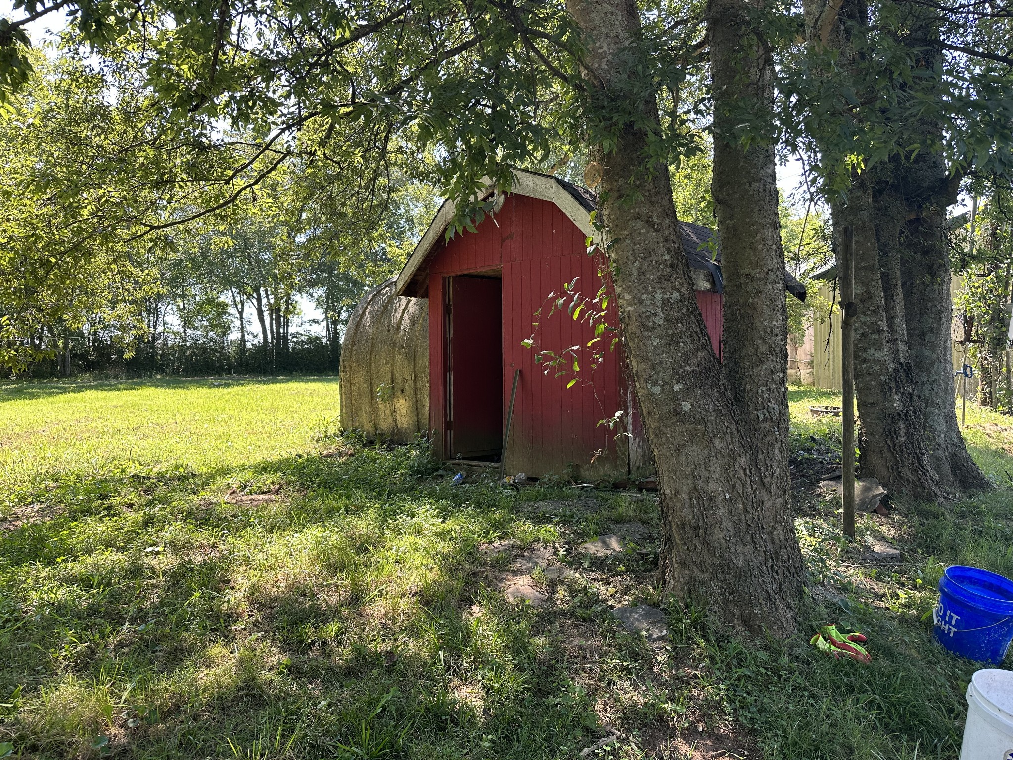 10026 Mona Road Murfreesboro, TN 37129 - Photo 5 of 64 a backyard of a house with lots of green space