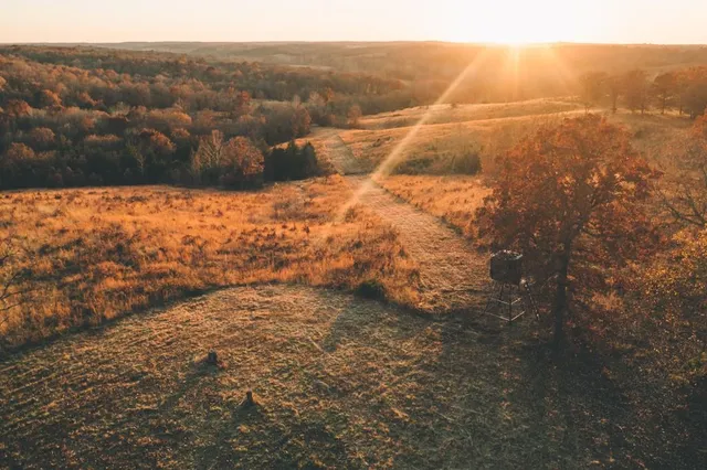 $891,100 | Pp Highway, Edwards, MO 65326