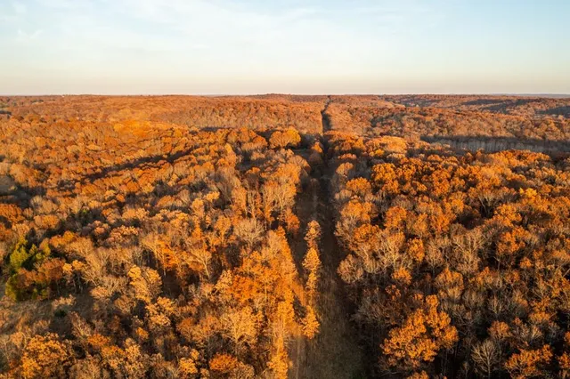 $891,100 | Pp Highway, Edwards, MO 65326