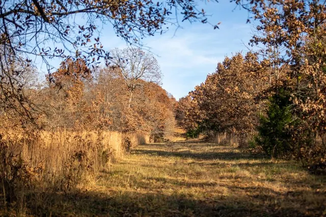 $891,100 | Pp Highway, Edwards, MO 65326