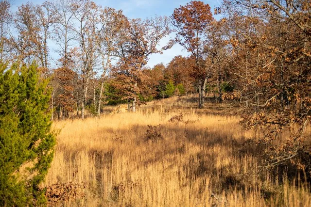 $891,100 | Pp Highway, Edwards, MO 65326