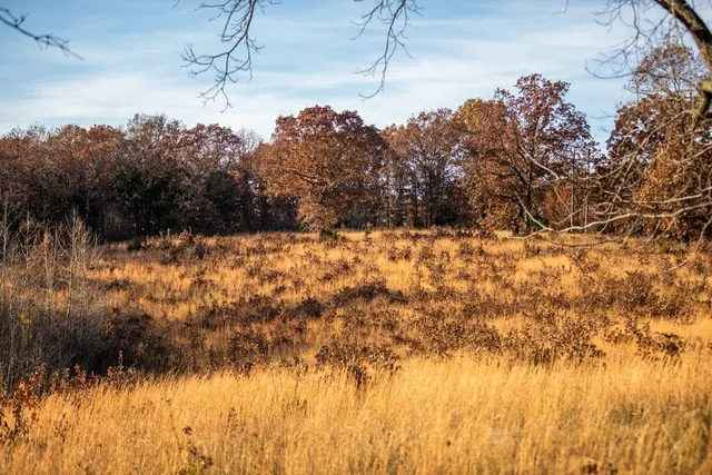 $891,100 | Pp Highway, Edwards, MO 65326