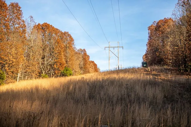 $891,100 | Pp Highway, Edwards, MO 65326