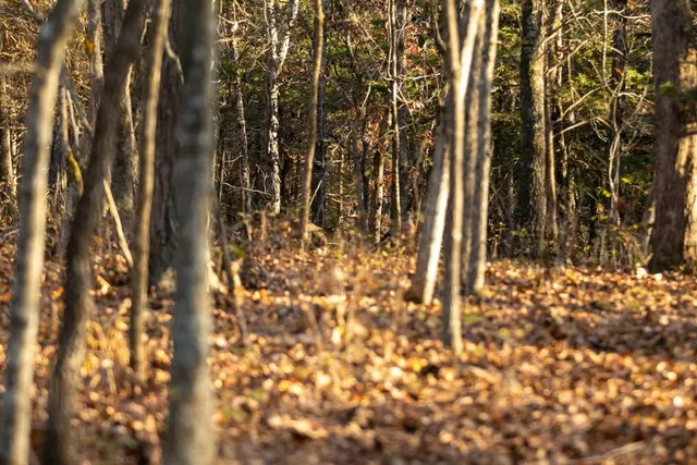 $891,100 | Pp Highway, Edwards, MO 65326