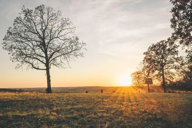 $891,100 | Pp Highway, Edwards, MO 65326