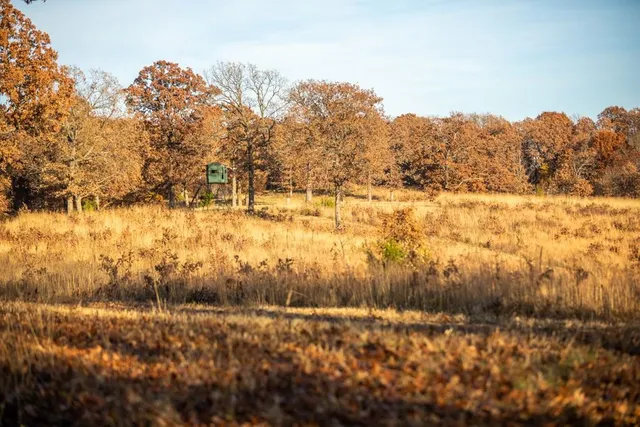 $891,100 | Pp Highway, Edwards, MO 65326