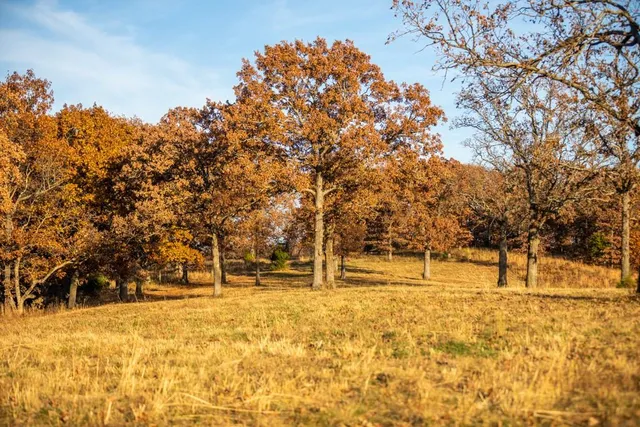 $891,100 | Pp Highway, Edwards, MO 65326