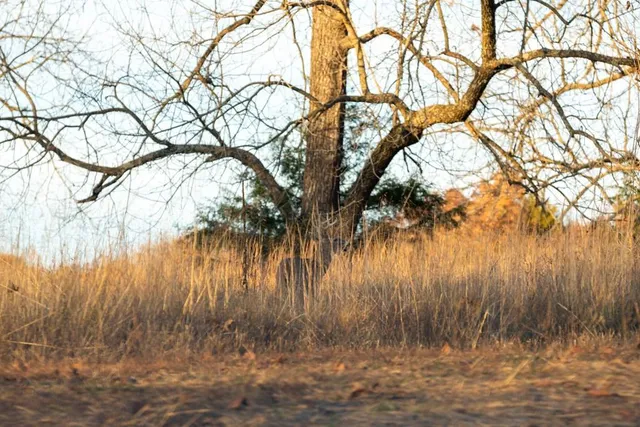 $891,100 | Pp Highway, Edwards, MO 65326