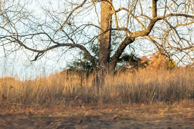 $891,100 | Pp Highway, Edwards, MO 65326