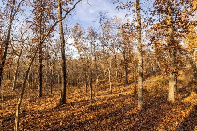 $891,100 | Pp Highway, Edwards, MO 65326