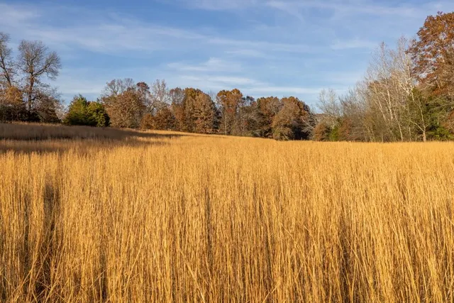 $891,100 | Pp Highway, Edwards, MO 65326