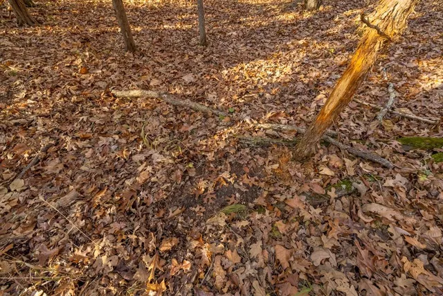 $891,100 | Pp Highway, Edwards, MO 65326