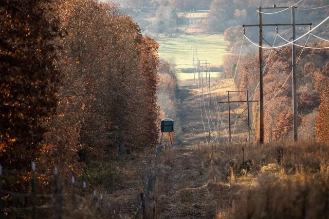 $891,100 | Pp Highway, Edwards, MO 65326