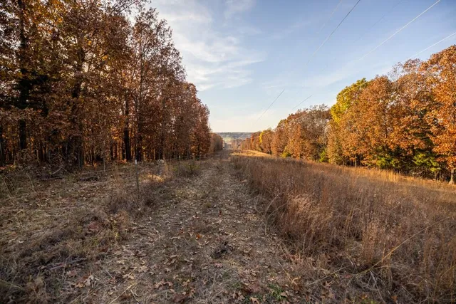 $891,100 | Pp Highway, Edwards, MO 65326