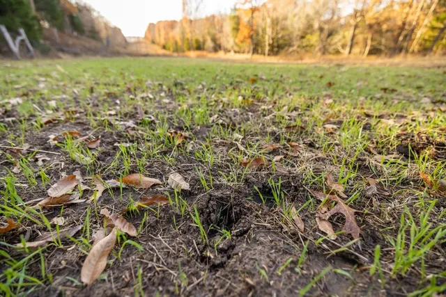 $891,100 | Pp Highway, Edwards, MO 65326