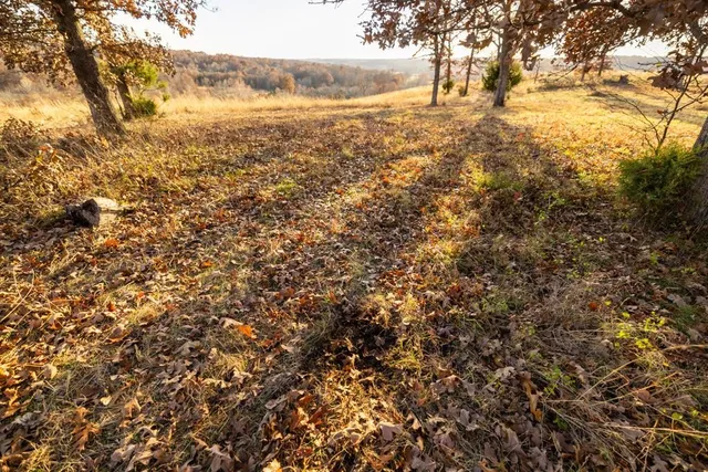 $891,100 | Pp Highway, Edwards, MO 65326