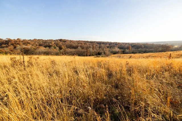 $891,100 | Pp Highway, Edwards, MO 65326