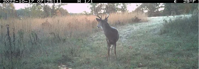 $891,100 | Pp Highway, Edwards, MO 65326