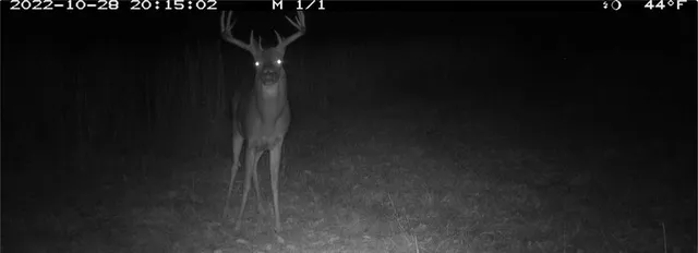 $891,100 | Pp Highway, Edwards, MO 65326