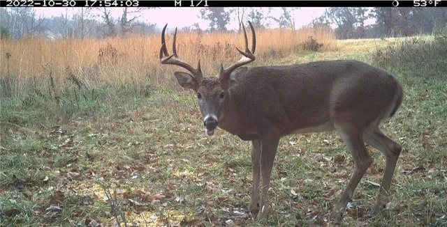 $891,100 | Pp Highway, Edwards, MO 65326