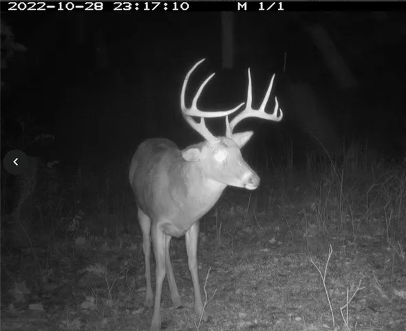 $891,100 | Pp Highway, Edwards, MO 65326