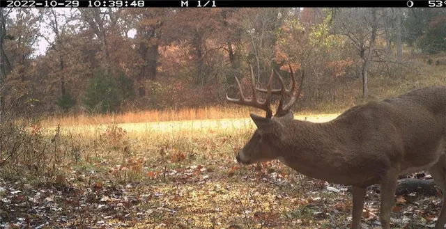 $891,100 | Pp Highway, Edwards, MO 65326