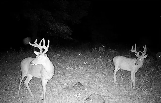 $891,100 | Pp Highway, Edwards, MO 65326