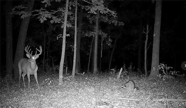 $891,100 | Pp Highway, Edwards, MO 65326