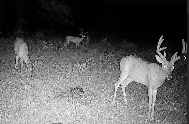 $891,100 | Pp Highway, Edwards, MO 65326