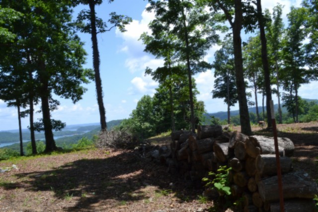 0 Rock Fish Road East Celina, TN 38551 - Photo 11 of 27