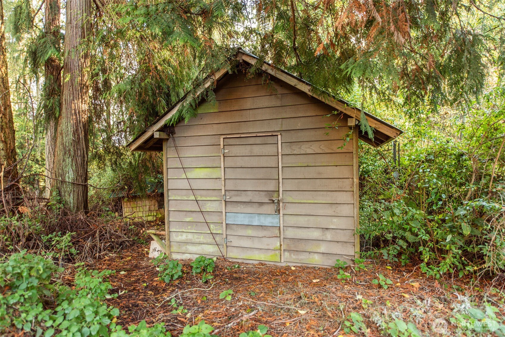 62 Pierson Lane Sequim, WA 98382 - Photo 39 of 40 a back view of a house with a yard