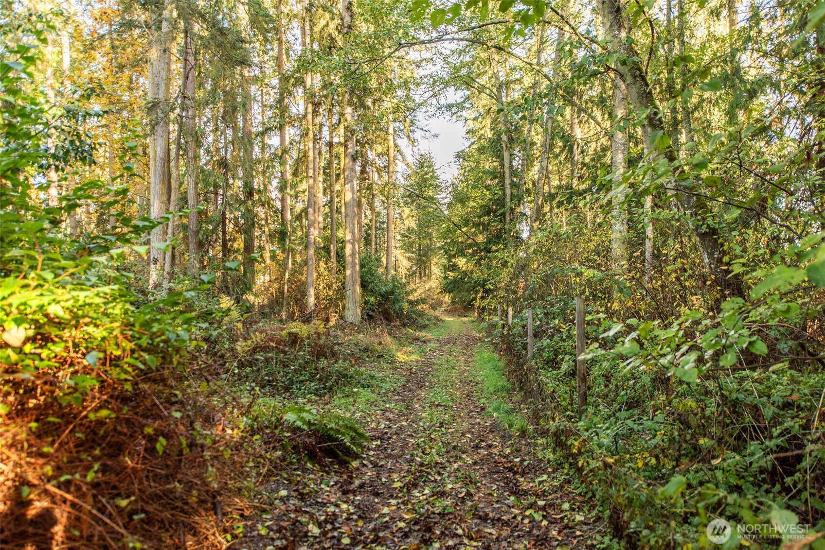 62 Pierson Lane Sequim, WA 98382 - Photo 40 of 40 a view of a yard