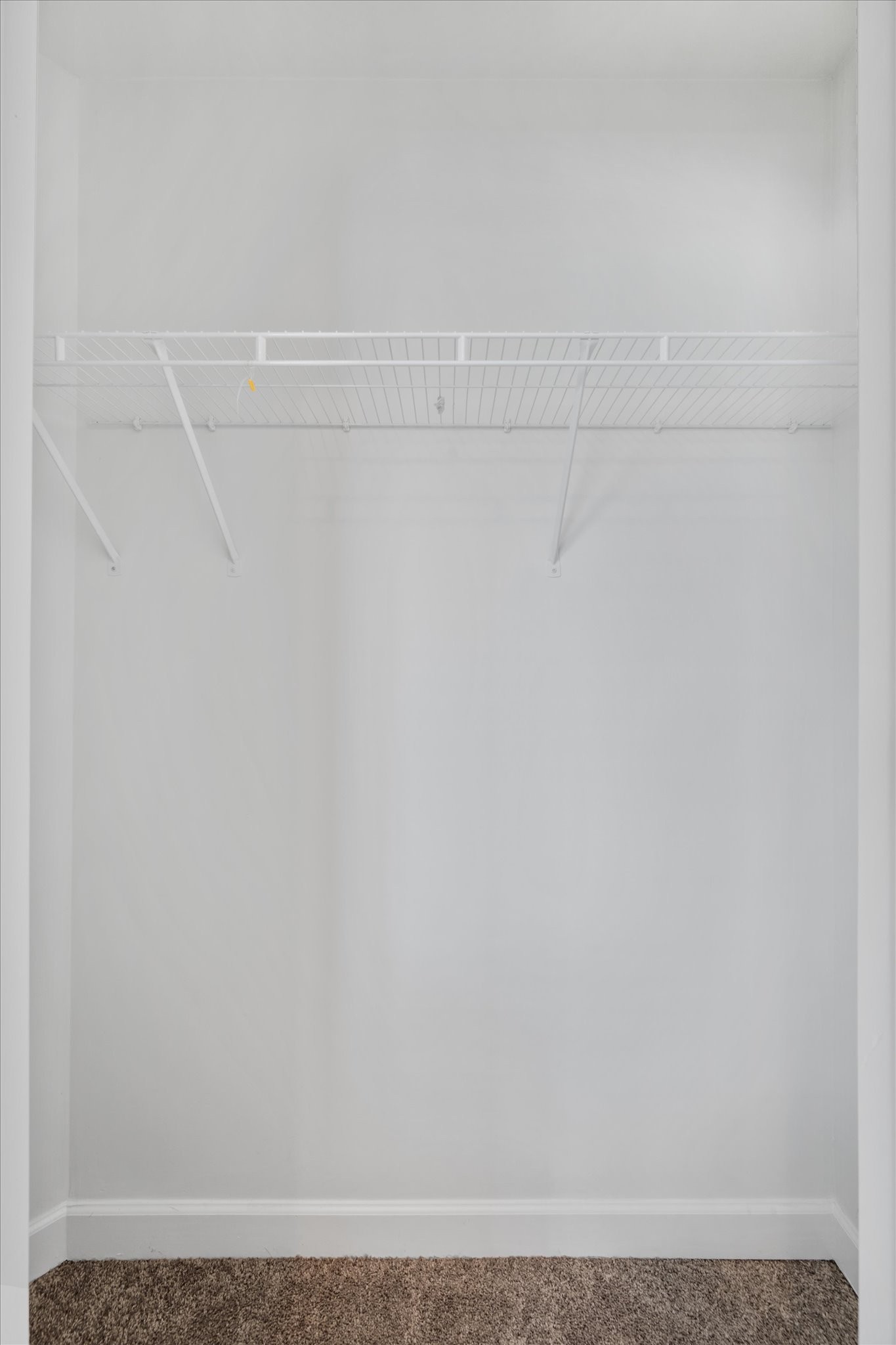 735 Tulip Grove Road, Unit 311 Hermitage, TN 37076 - Photo 13 of 23 close up of a white marble wall