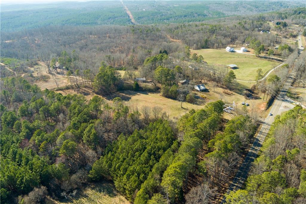 170 Sperin Cabinet Shop Road Ball Ground, GA 30107 - Photo 2 of 19