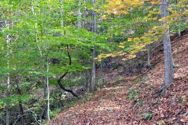 4095 Laurel Creek Road Union, WV 24983 - Photo 17 of 44 Gallery Image 17