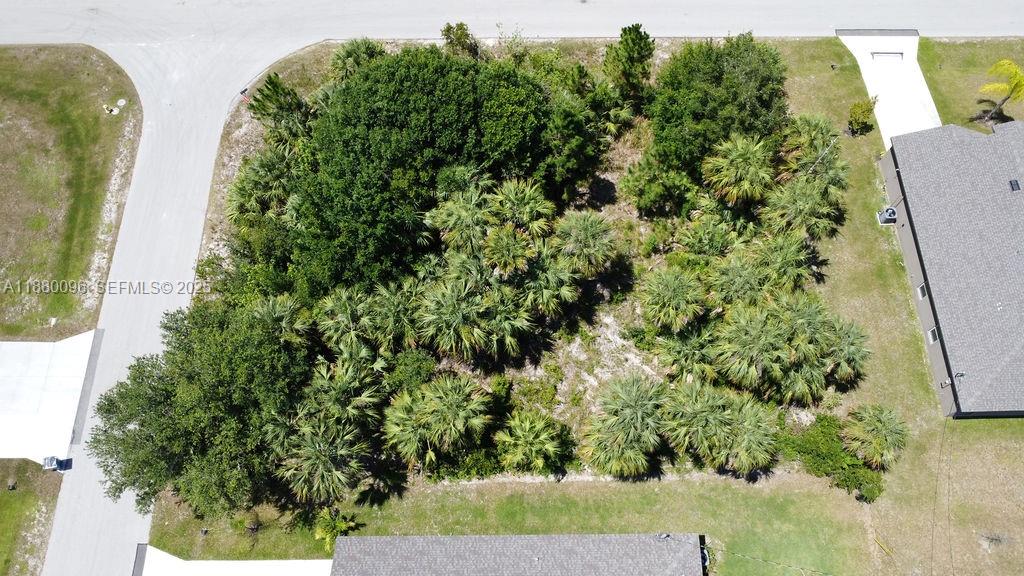 0 Th Palm Bay, FL 32908 - Photo 2 of 6 a view of a yard with plants