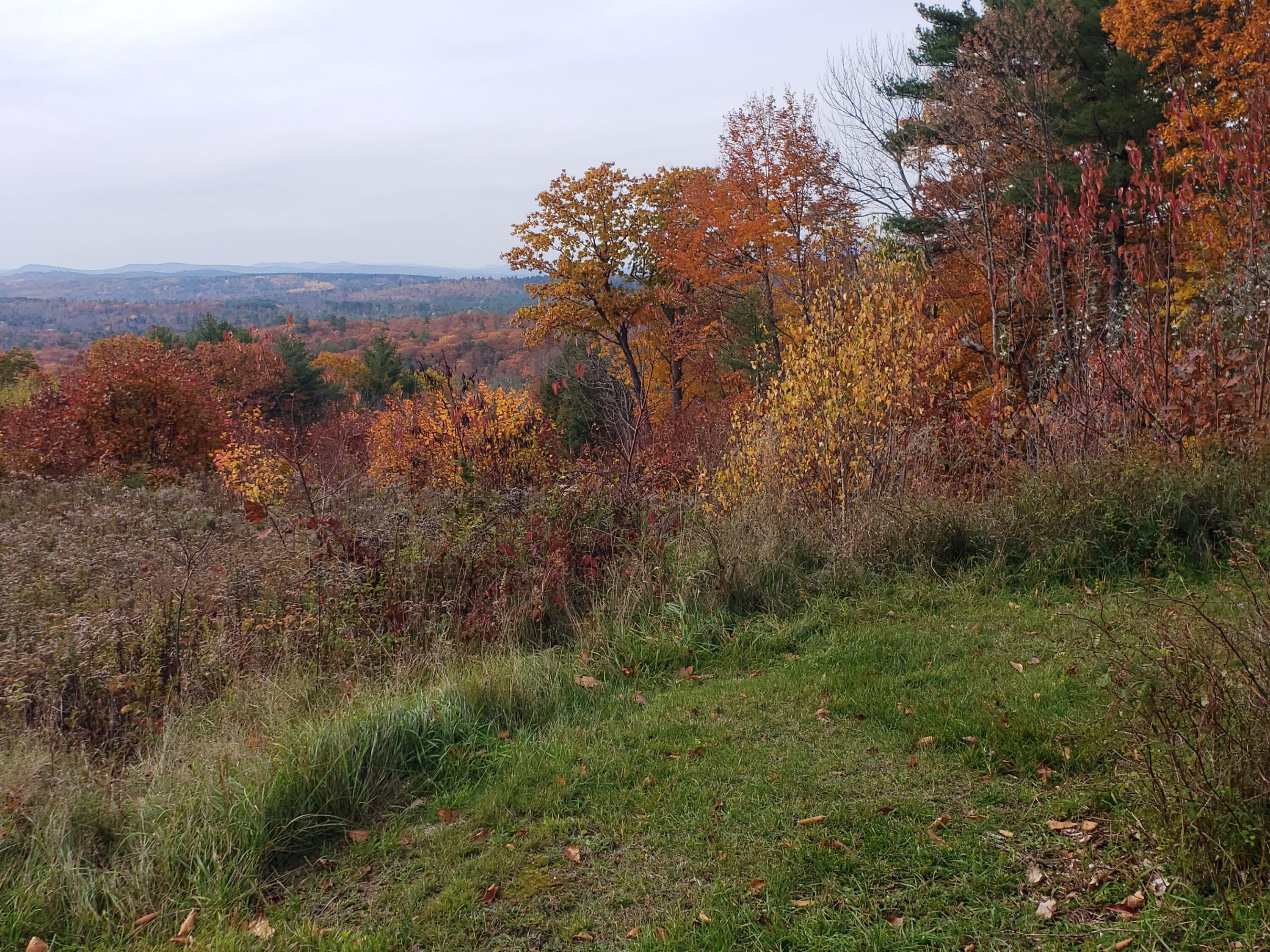 293 Scribner Hill Road Otisfield, ME 04270 - Photo 32 of 38 View