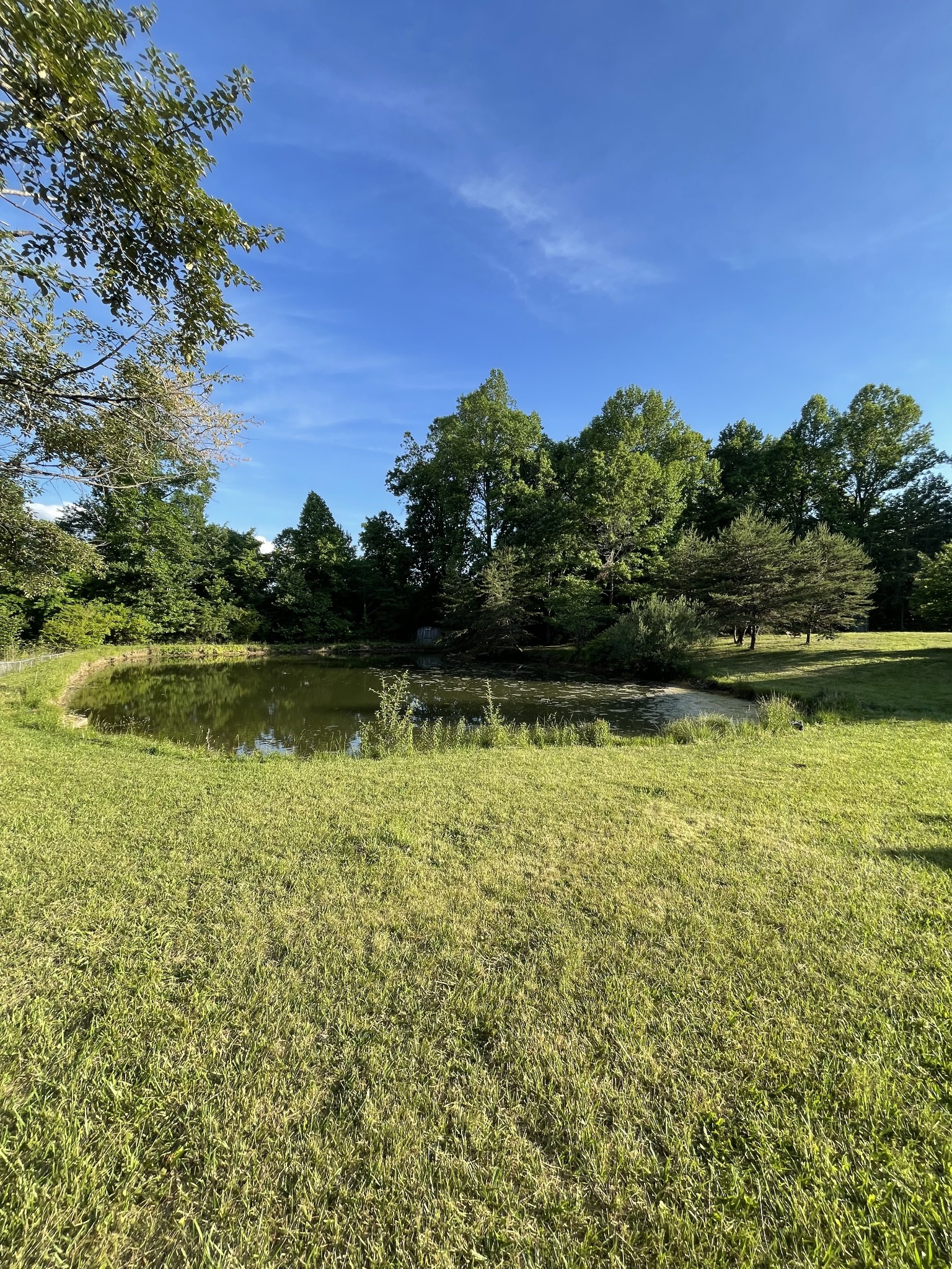 56 Elm Lane Sparta, TN 38583 - Photo 23 of 25