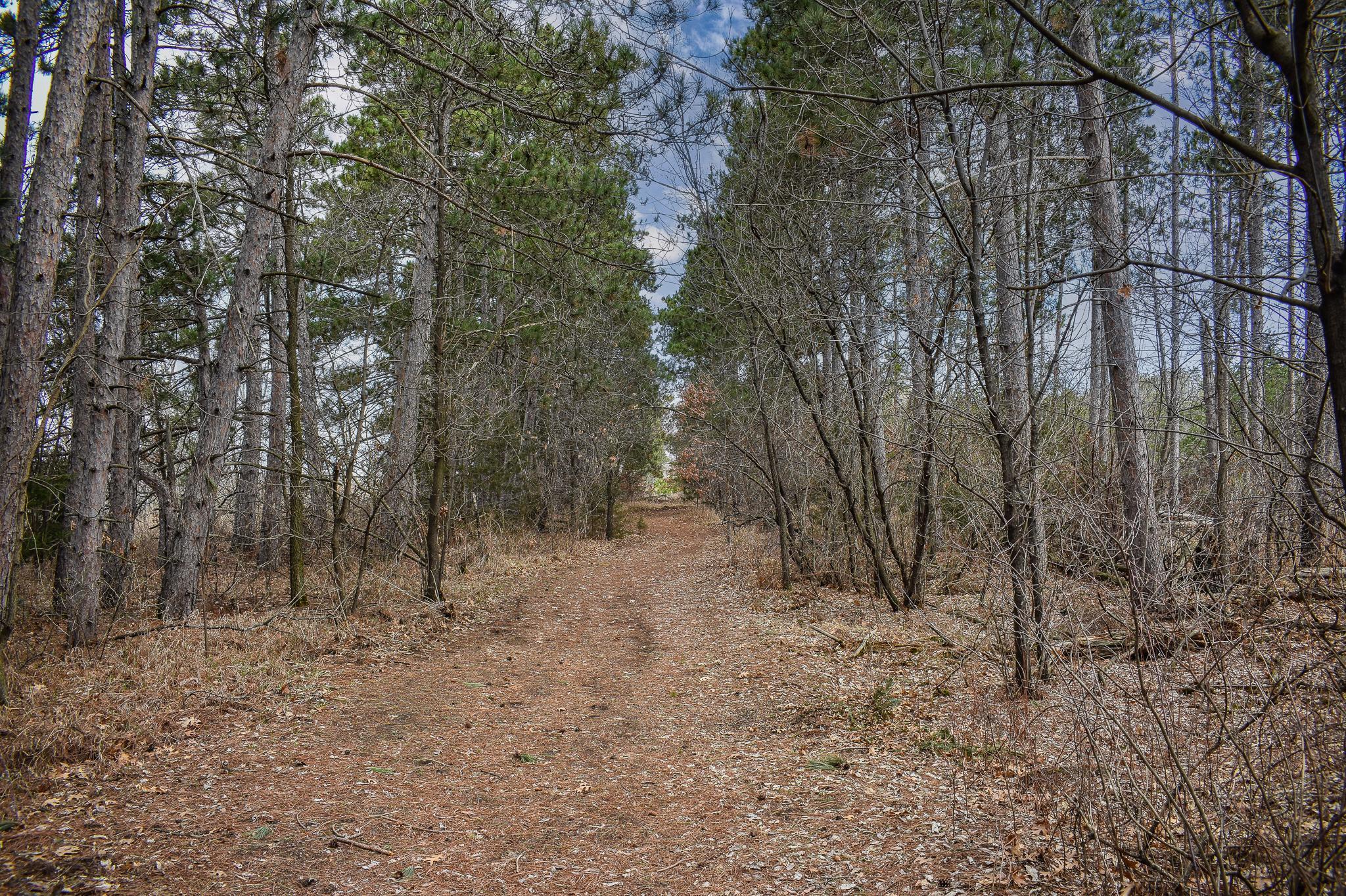 8795 Lakewood Shore Road Northwest Rice, MN 56367 - Photo 74 of 86